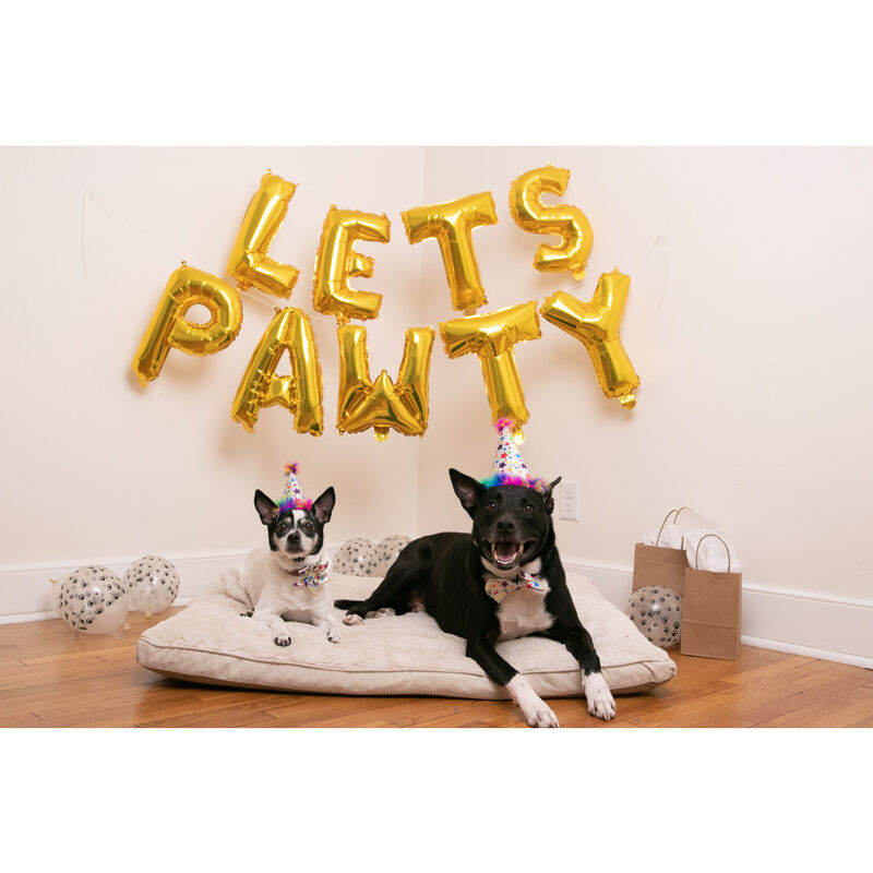 Huxley & Kent Pet Bow Tie, Superstars image number null