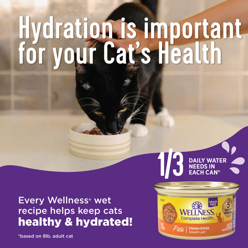 Wellness Complete Health Pate Canned Cat Food, Chicken & Herring image number null
