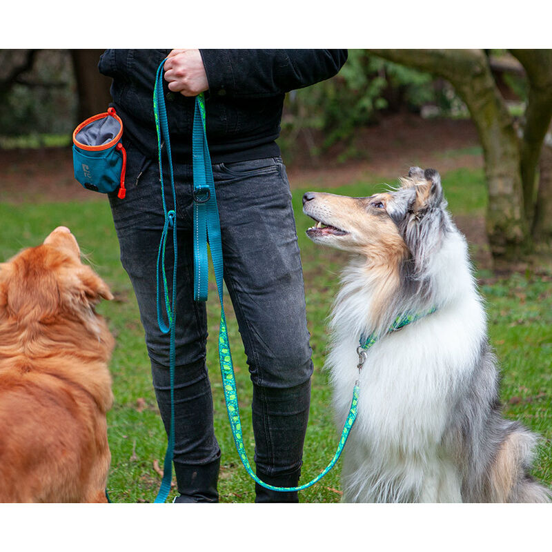 RC Pets Essential Dog Treat Bag, Heather Teal image number null