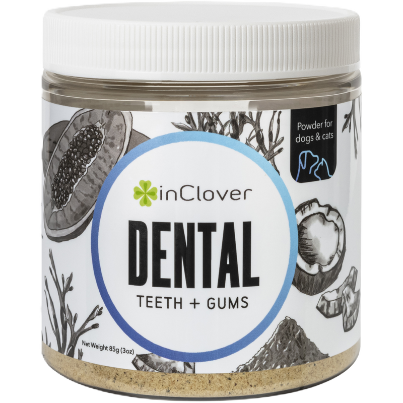 InClover Powder Dog & Cat Supplement, Dental, Teeth + Gums, 85-g image number null