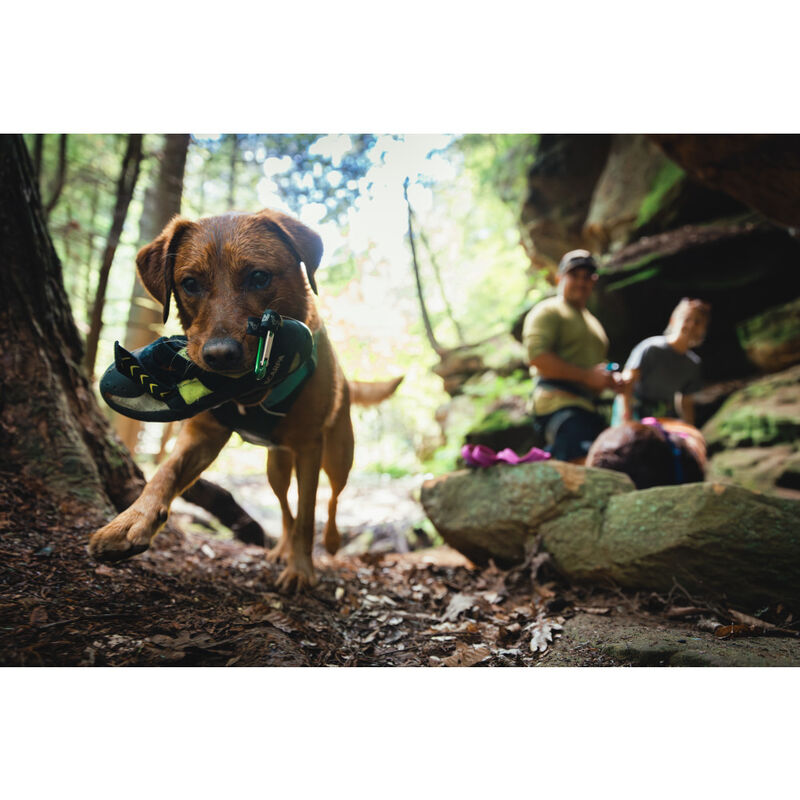 Ruffwear Flagline Dog Harness, Basalt Gray image number null