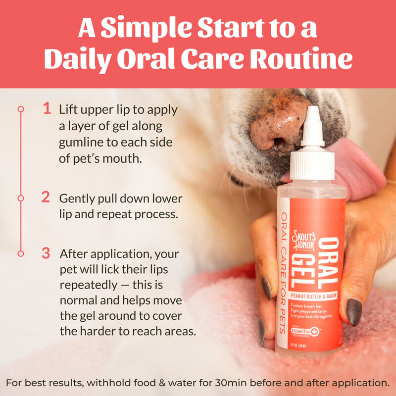 Skout's Honor Oral Care Oral Gel for Pets, Peanut Butter & Bacon, 4-oz image number null