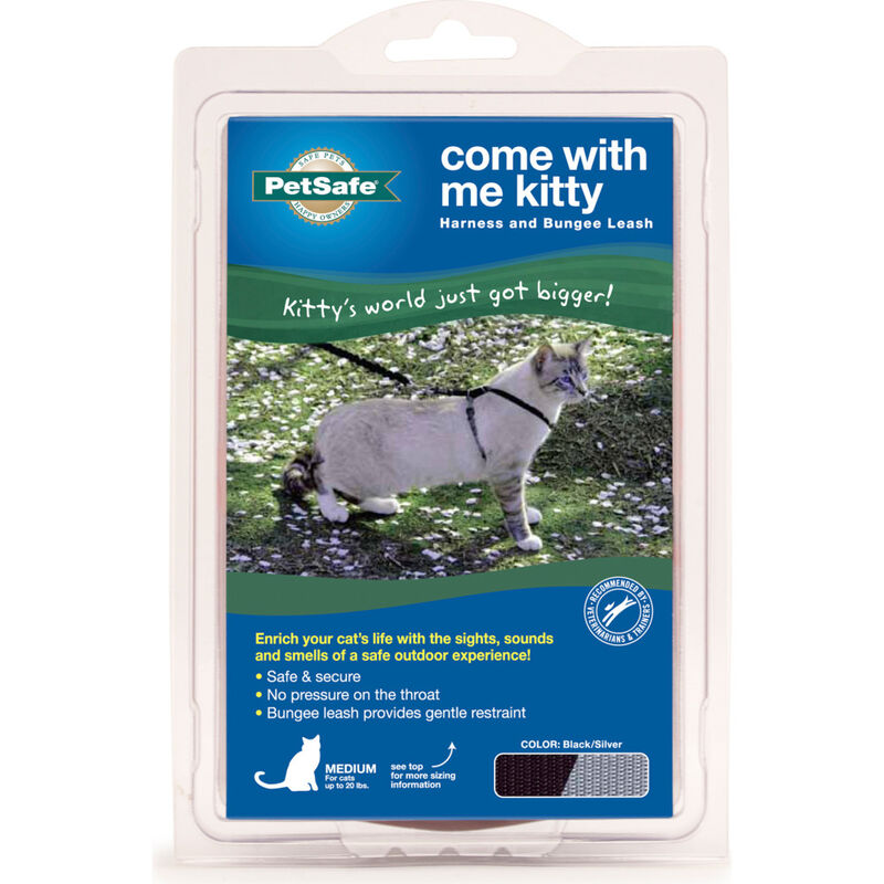 PetSafe Come With Me Kitty Harness & Bungee Cat Leash, Black/Silver image number null