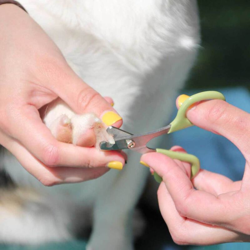 Safari Nail Trimmer for Dogs, Small image number null