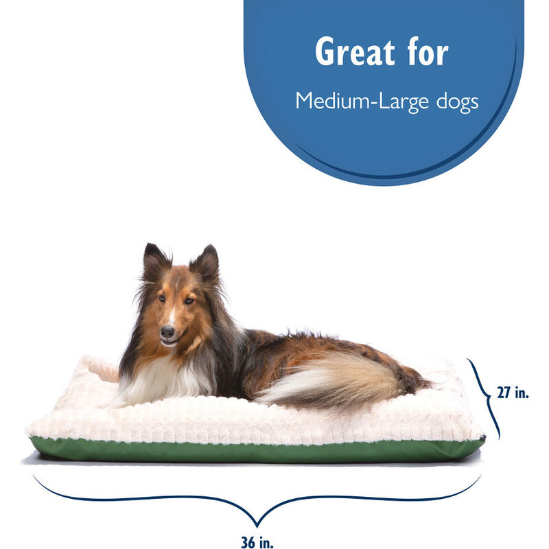 Carpenter Pet Bedding "Henry" Pillow Dog Bed, Assorted Colors, 36-in x 27-in image number null
