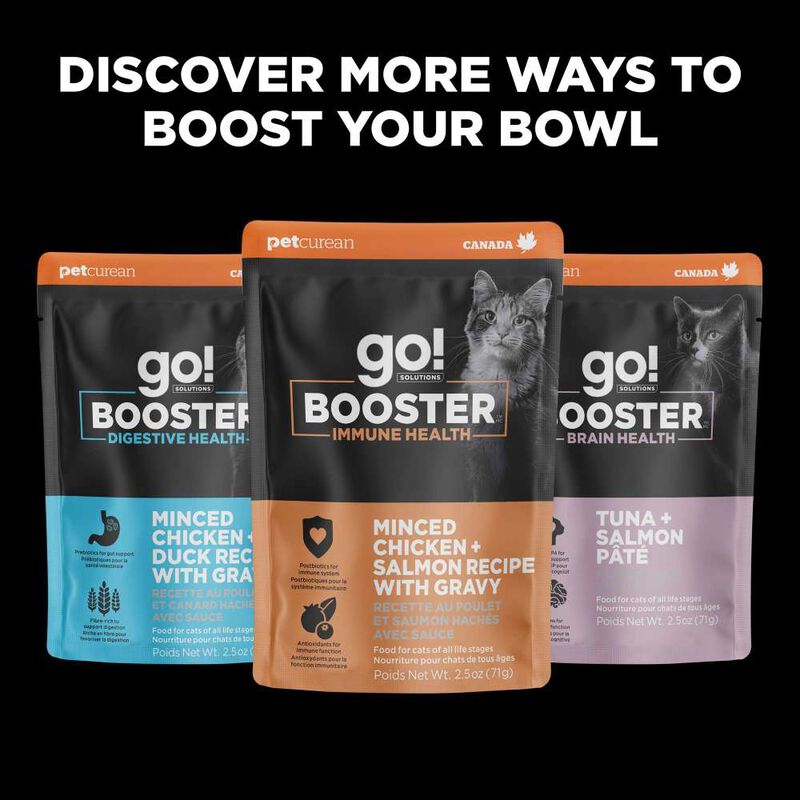 Go! Solutions Booster Wet Cat Food, Weight Management, Minced Chicken & Tuna with Gravy, 2.5-oz image number null