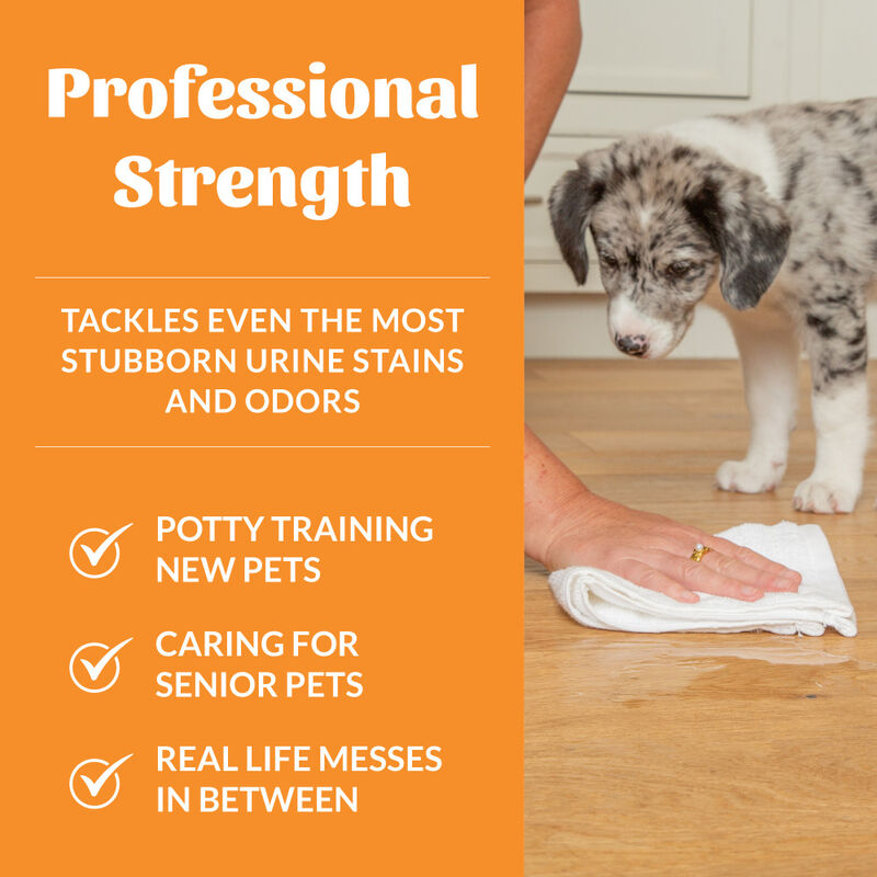 Skout's Honor Professional Strength Pet Urine Destroyer, 35-oz image number null
