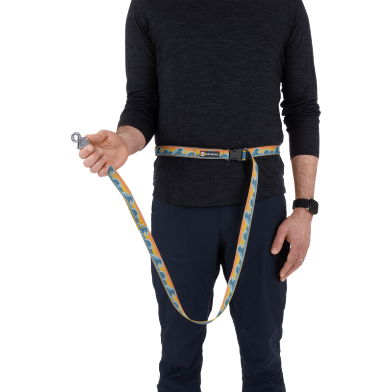 Ruffwear Crag Reflective Dog Leash, Rising Wave, 3.5-6-ft image number null