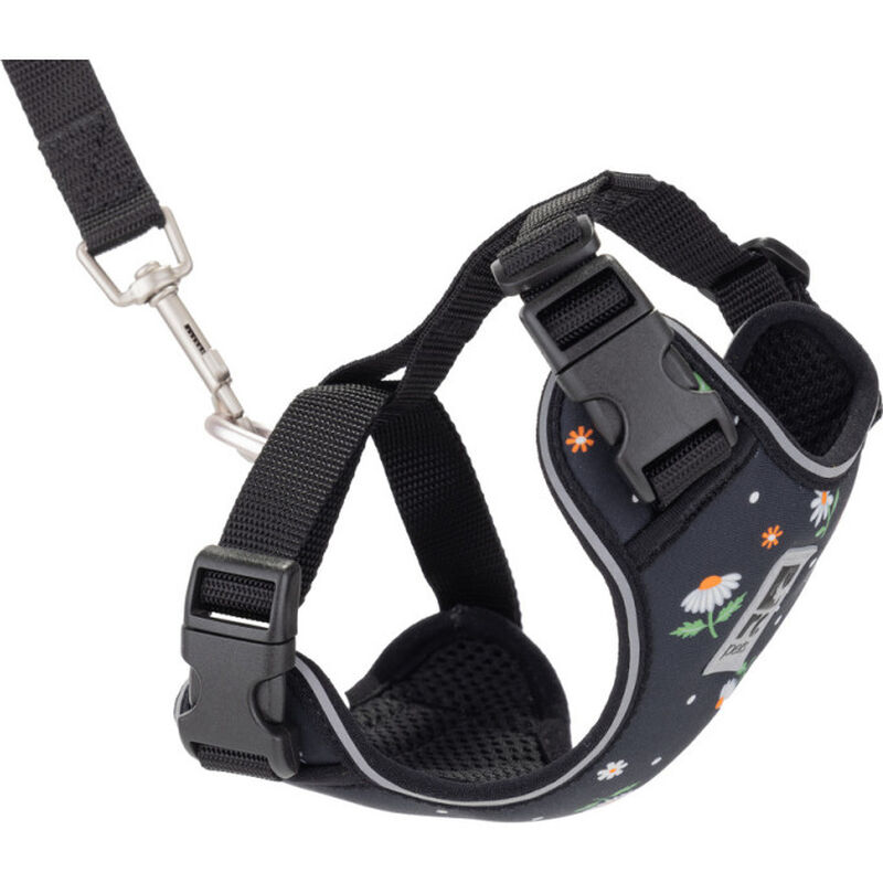 RC Pets Adventure Kitty Cat Harness, Daisies image number null