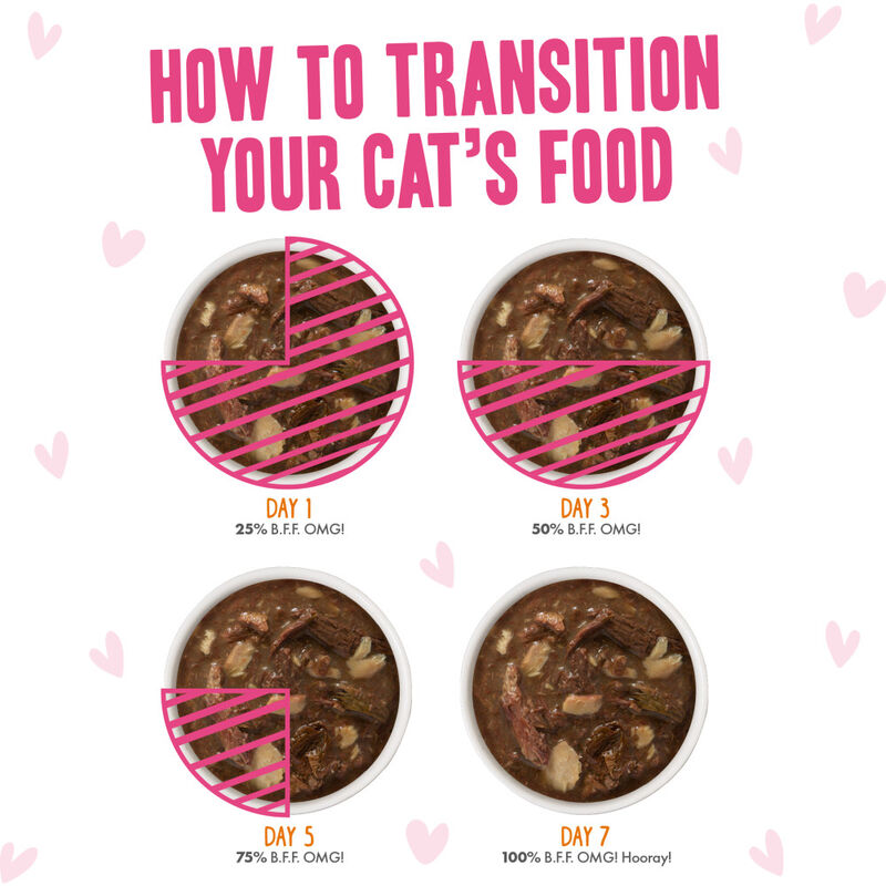 B.F.F. Best Feline Friend OMG Gravy! Wet Cat Food, Variety Pack, Rainbow A Gogo, 3-oz, 12-pack image number null