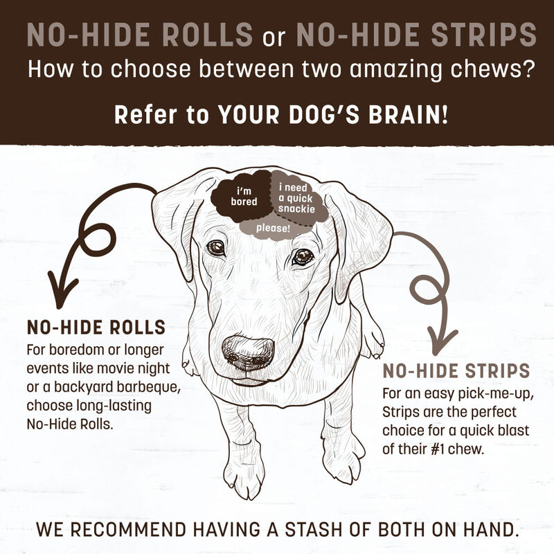 Earth Animal No-Hide Roll Dog Treat, Salmon image number null