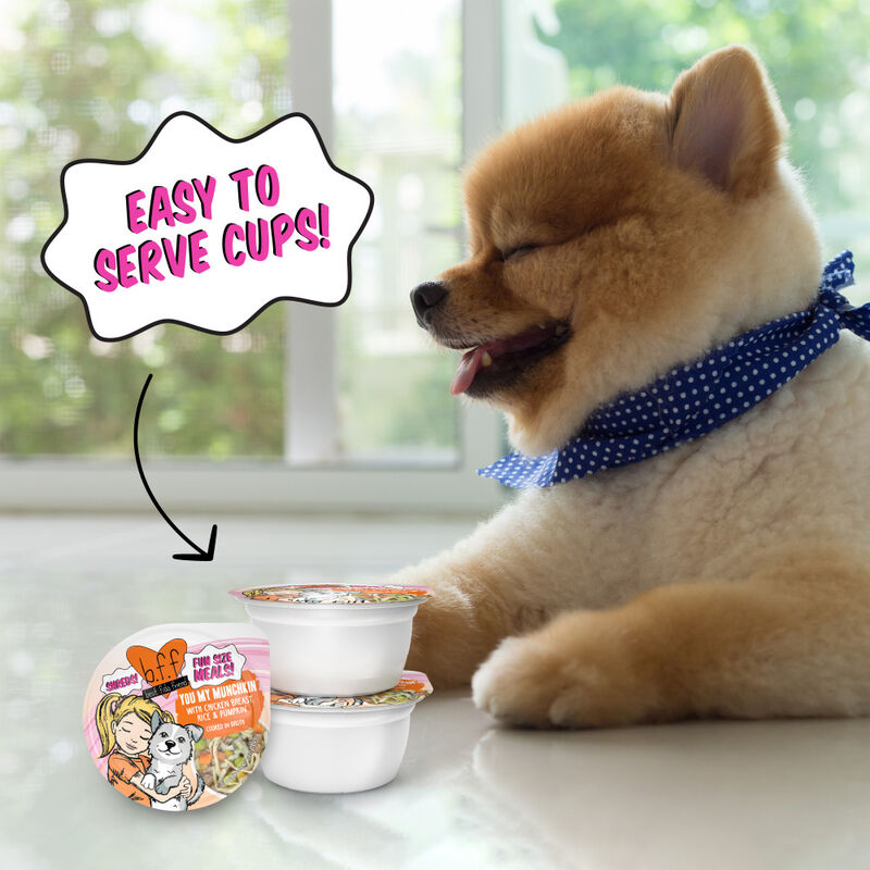 B.F.F. Best Fido Friend Fun Size Meals Wet Dog Food, You My Munchkin, Chicken Rice & Pumpkin, 2.75-oz image number null