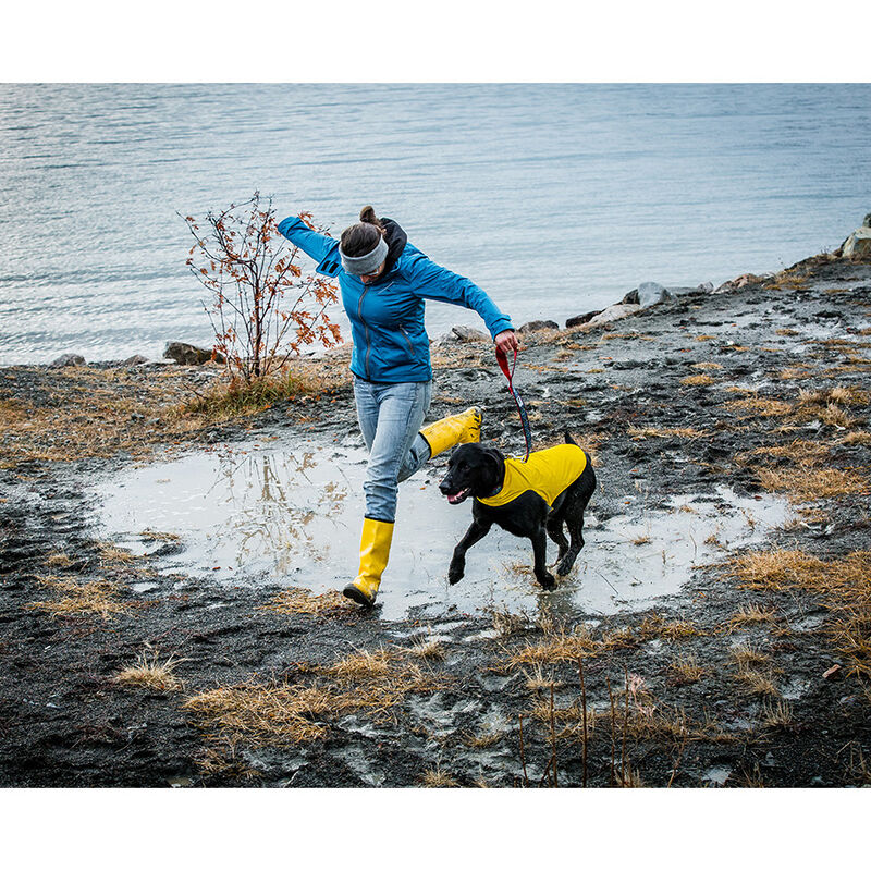 RC Pets Delta Dog Rain Slicker, Lemon image number null