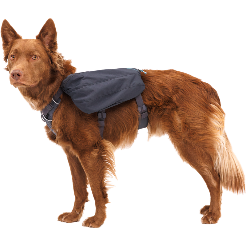 Ruffwear Front Range Dog Day Pack, Basalt Gray image number null
