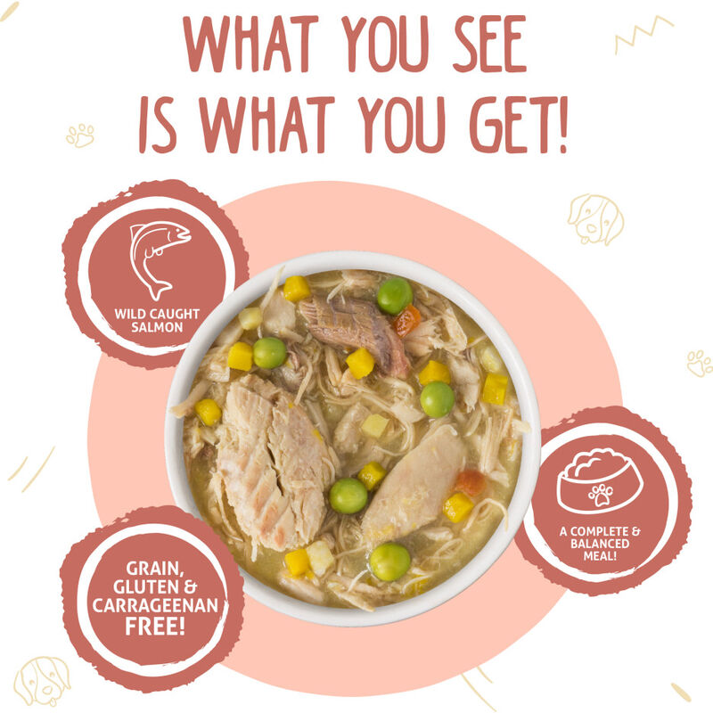 Weruva Classic Canned Dog Food, Jammin' Salmon, Chicken Salmon & Pumpkin Soup, 14-oz image number null