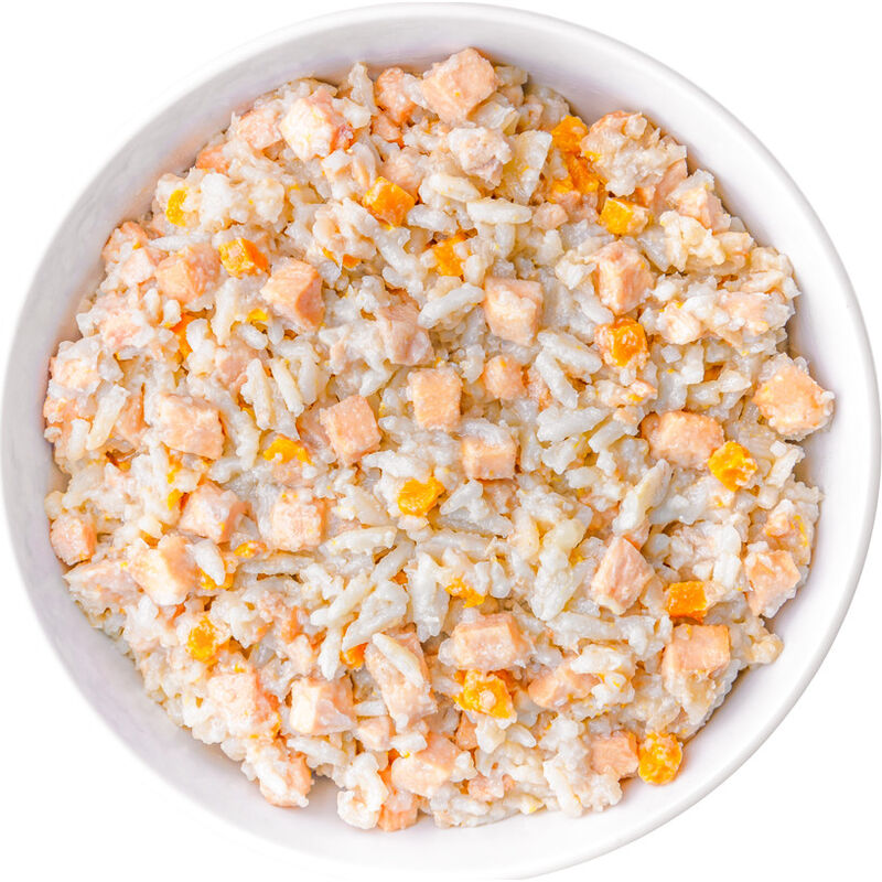 Koha Limited Ingredient Bland Diet Supplemental Dog Food, Chicken & White Rice, 12.5-oz image number null