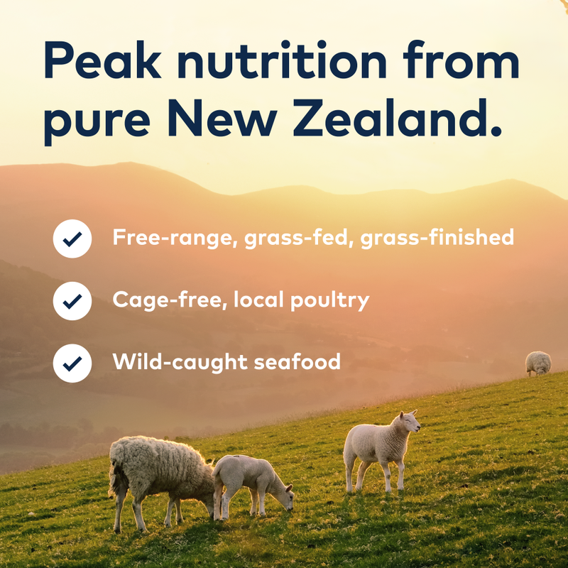 ZIWI Peak Steam & Dried Dog Food, Lamb & Green Vegetables image number null