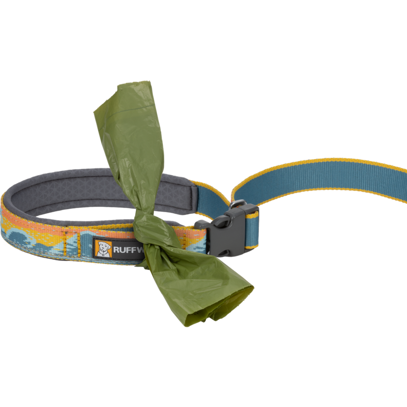 Ruffwear Crag Reflective Dog Leash, Rising Wave, 3.5-6-ft image number null