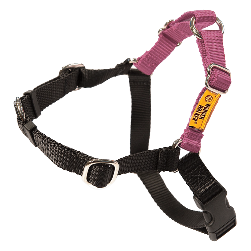 Dolan's Dog Doodads Wonder Walker Body Halter Dog Harness, Rose image number null