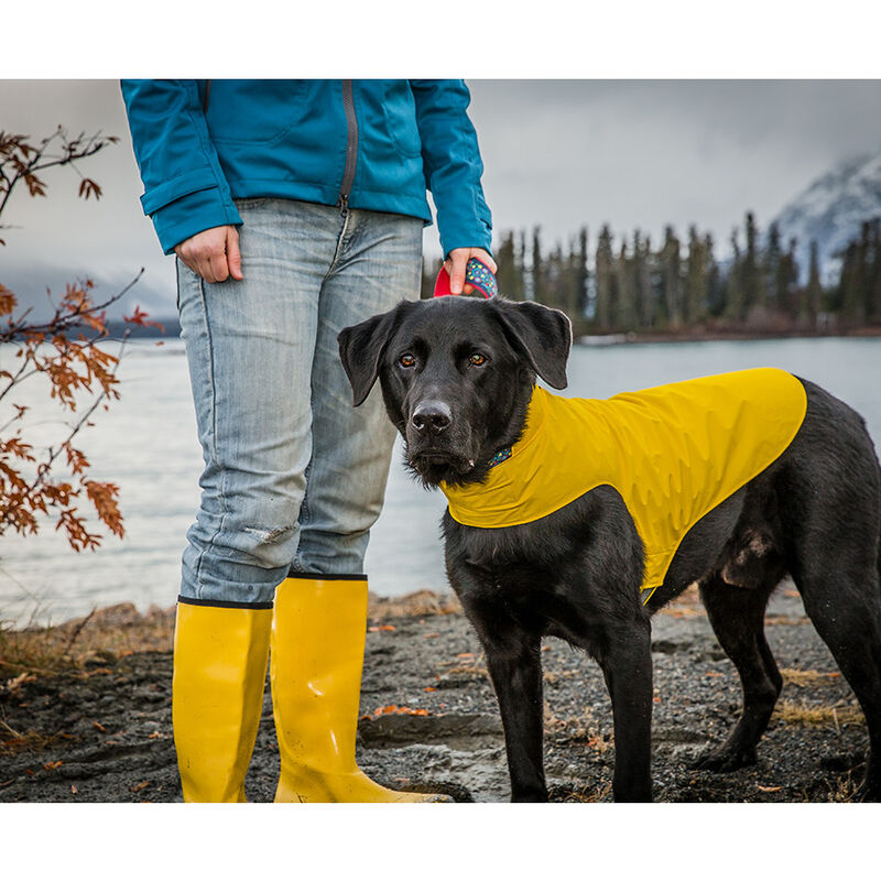 RC Pets Delta Dog Rain Slicker, Lemon image number null