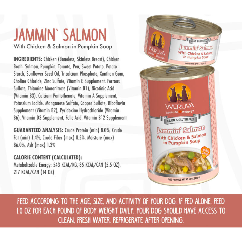 Weruva Classic Canned Dog Food, Jammin' Salmon, Chicken Salmon & Pumpkin Soup, 14-oz image number null