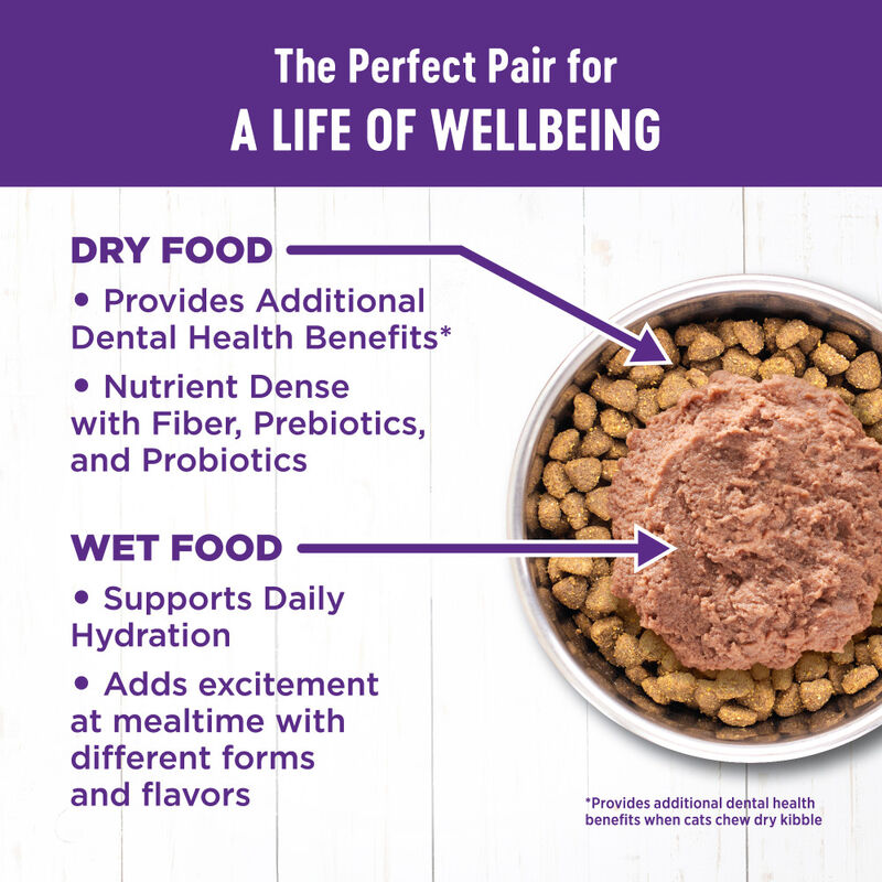 Wellness Complete Health Pate Canned Cat Food, Chicken & Herring image number null