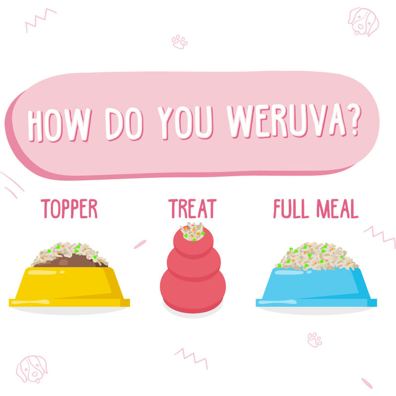 Weruva Classic Canned Dog Food, Amazon Livin', Chicken Liver & Pumpkin Soup, 14-oz image number null