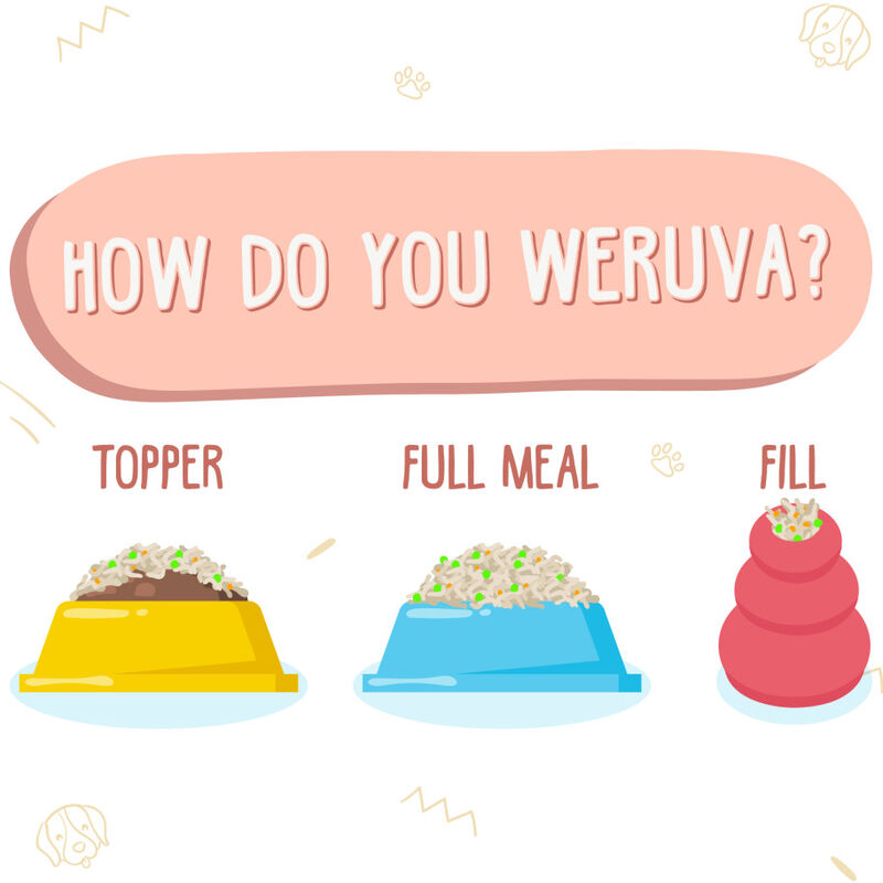 Weruva Classic Canned Dog Food, Jammin' Salmon, Chicken Salmon & Pumpkin Soup, 14-oz image number null
