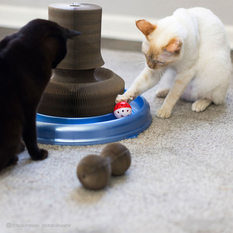 Turbo by Coastal Transform It! Corrigated Cardboard Tower Cat Toy, 20-in image number null