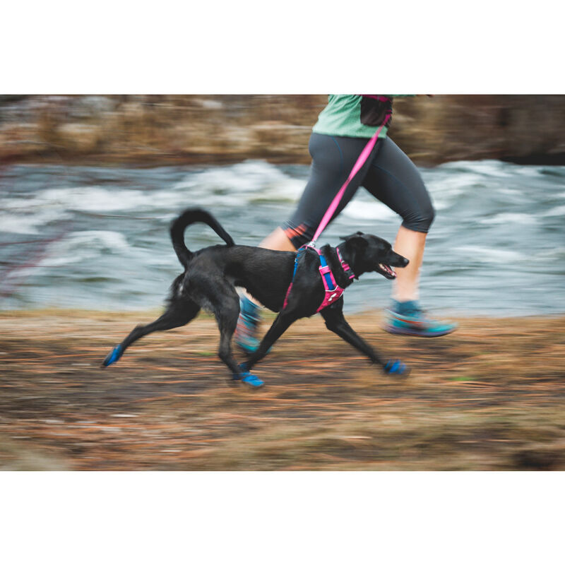 Ruffwear Hi & Light Lightweight Dog Collar, Alpenglow Pink image number null