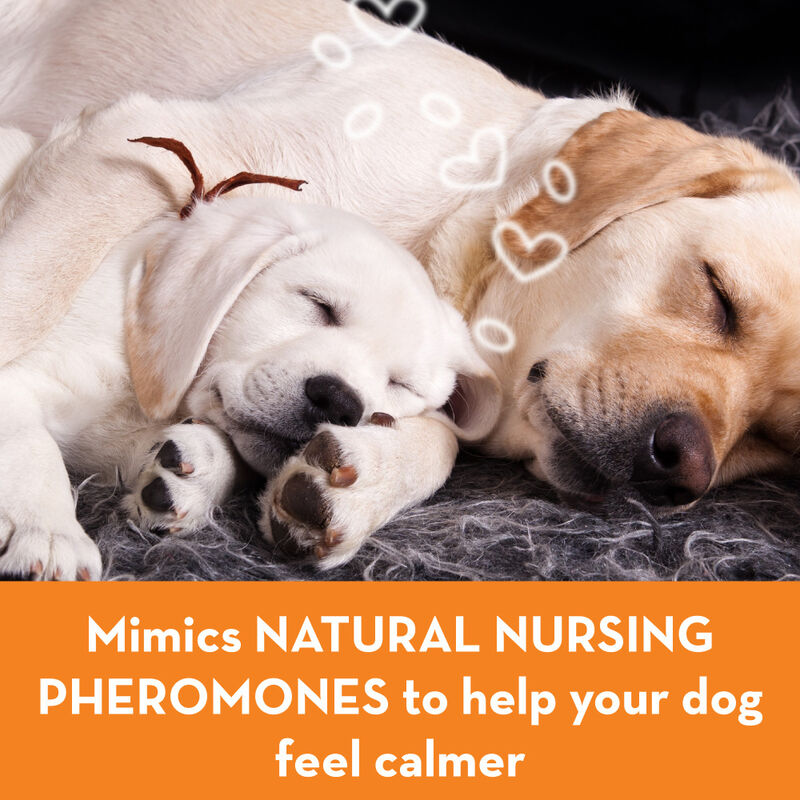 ThunderEase Calming Dog Pheromones, Diffuser Kit image number null