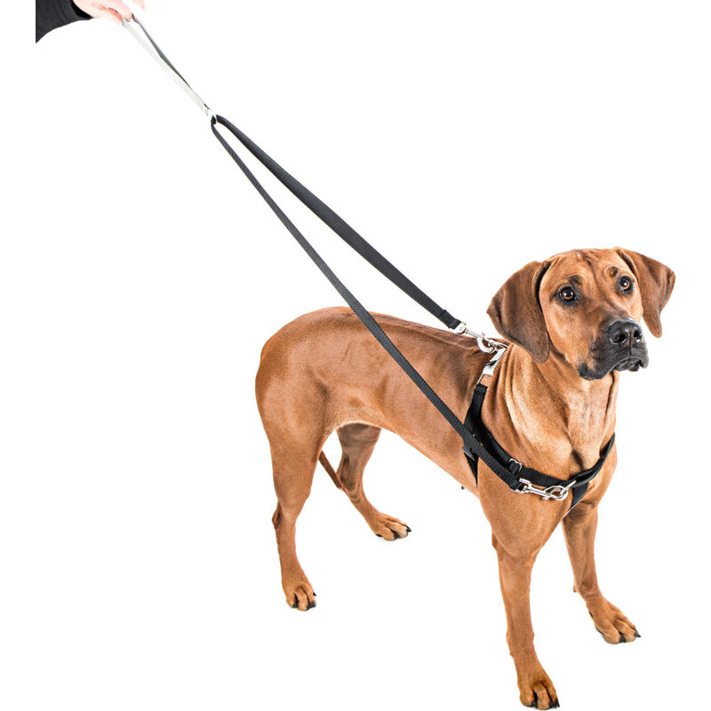 2 Hounds Design Freedom Training Dog Leash, Black image number null