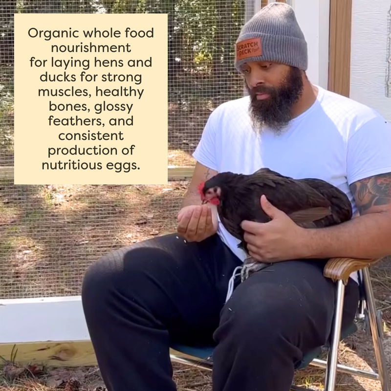 Scratch and Peck Feeds Organic Chicken & Duck Feed, Layer Mash 16% + Corn, 40-lb image number null