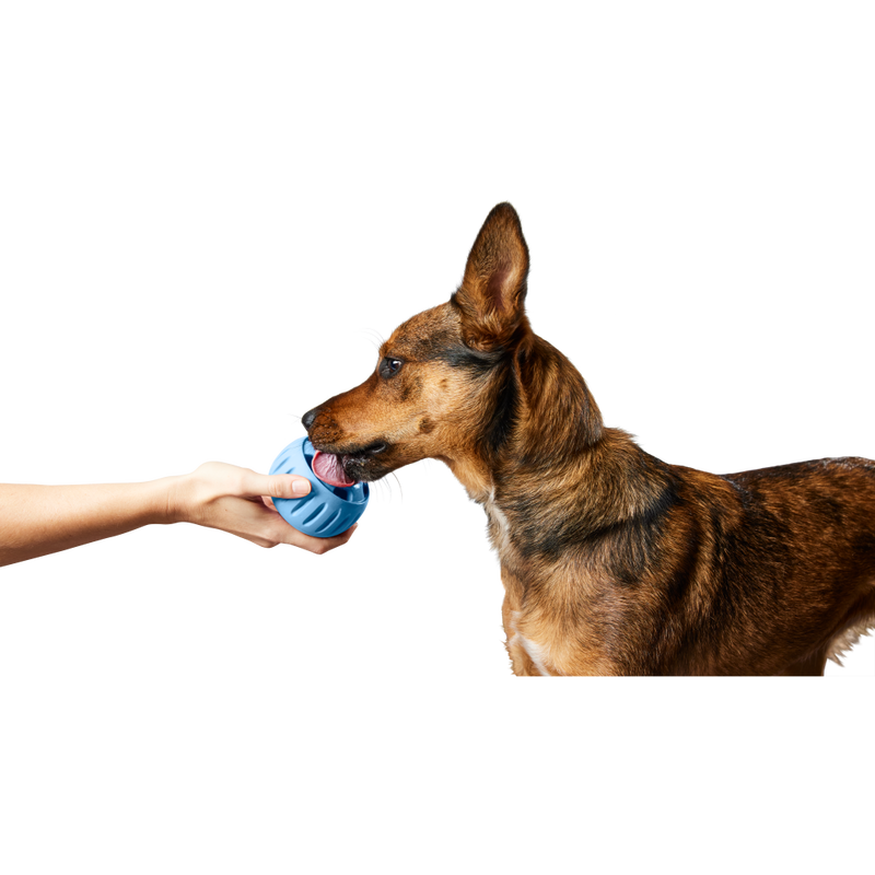 Woof Pupsicle Treat-Dispensing Dog Toy, Blue image number null