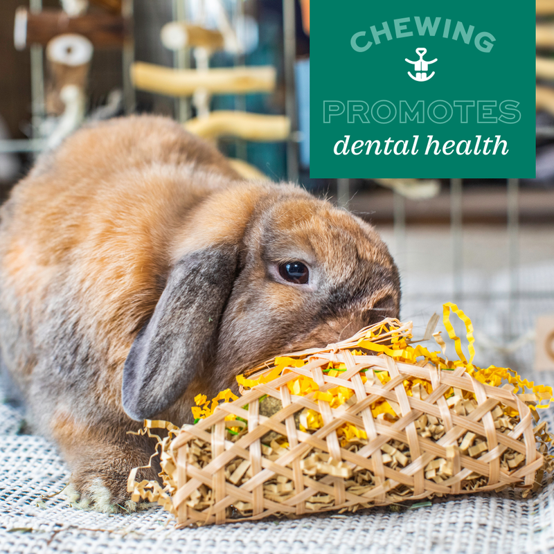 Oxbow Enriched Life Small Animal Chew Toy, Timothy Waffle image number null