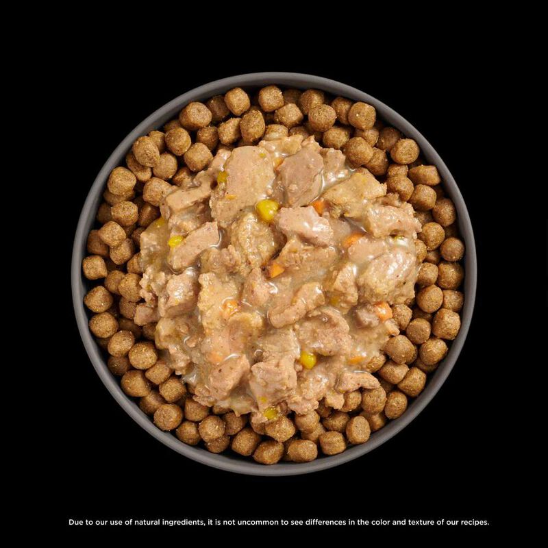 Go! Solutions Booster Wet Cat Food, Weight Management, Minced Chicken & Tuna with Gravy, 2.5-oz image number null