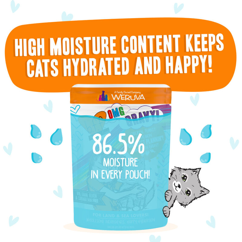 B.F.F. Best Feline Friend OMG Gravy! Wet Cat Food, Purr-Fect Plannin'!, Chicken, Turkey & Salmon, 2.8-oz image number null