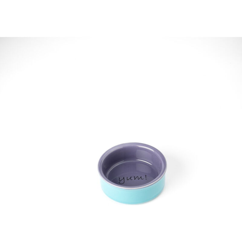 PetRageous Designs Yummy Time! Small Animal Bowl, Blue & Purple, 3.25-in image number null