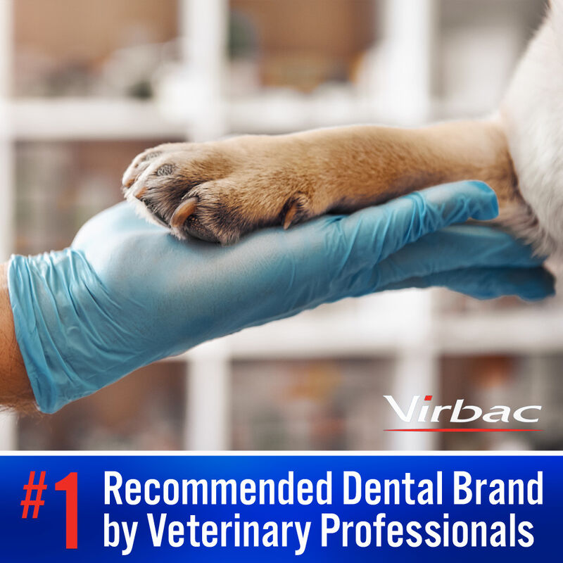 Virbac C.E.T. Enzymatic Dog & Cat Toothpaste, Vanilla-Mint Flavor, 70-g image number null
