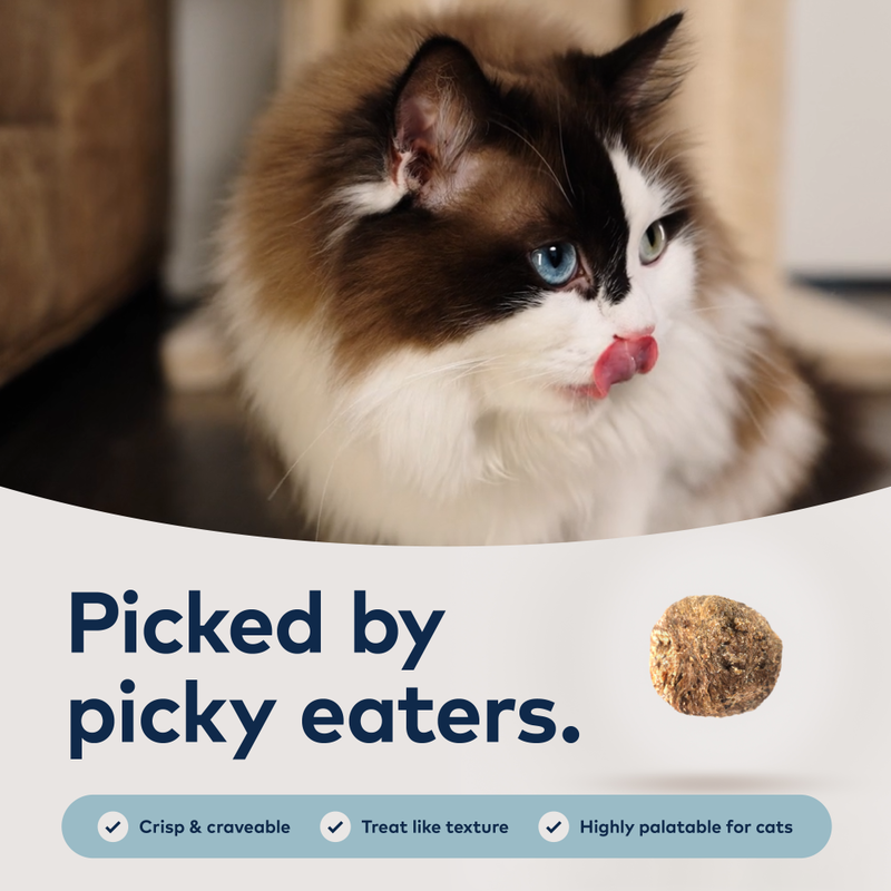ZIWI Peak Steam & Dried Cat Food, Beef & Blue Whiting image number null