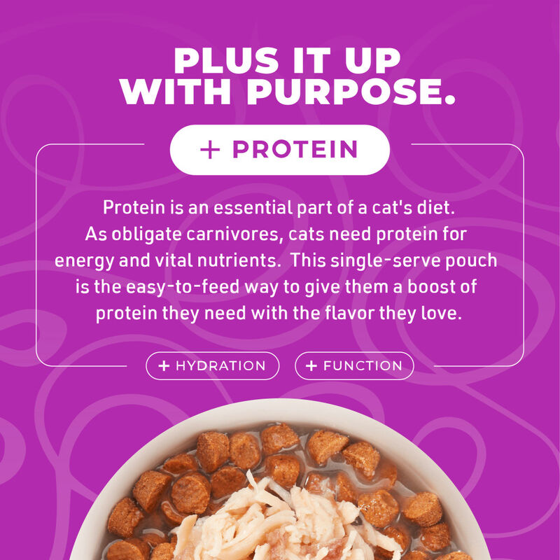 Tiki Cat Born Carnivore Complements Wet Cat Food Topper, Chicken & Duck, 2.1-oz image number null