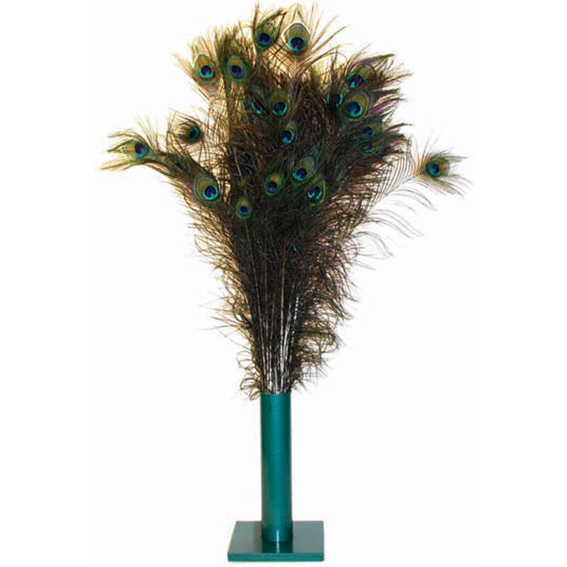 Vee Natural Peacock Feather Cat Toy image number null