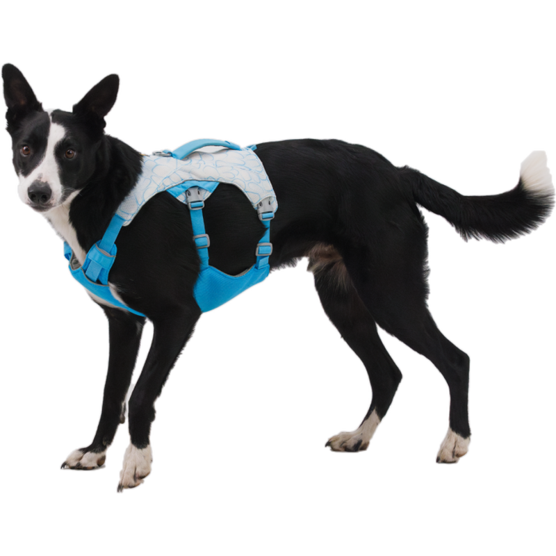 Ruffwear Swamp Cooler Dog Cooling Harness, Biolumin Blue image number null
