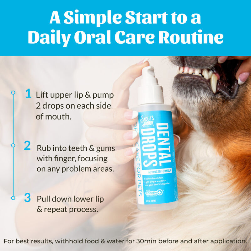 Skout's Honor Oral Care Dental Drops for Pets, Advanced Formula, 4-oz image number null