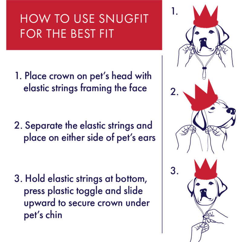 Huxley & Kent Pet Party Crown, Gold image number null