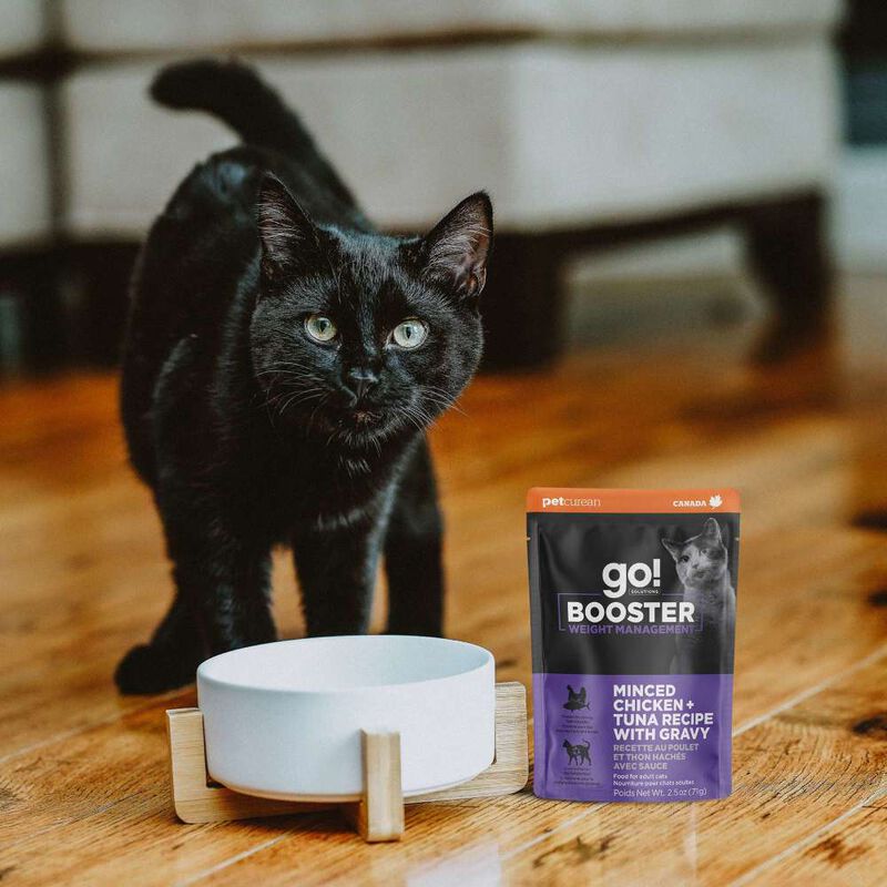 Go! Solutions Booster Wet Cat Food, Weight Management, Minced Chicken & Tuna with Gravy, 2.5-oz image number null