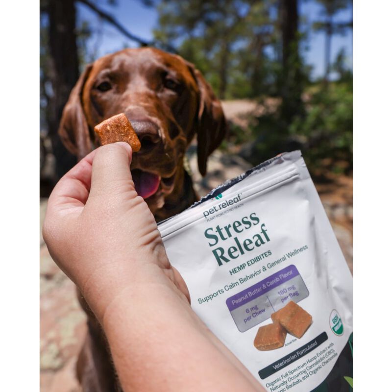 Pet Releaf Hemp Edibites Stress Releaf Medium to Large Breed Dog Supplement, Peanut Butter & Carob, 7.5-oz image number null