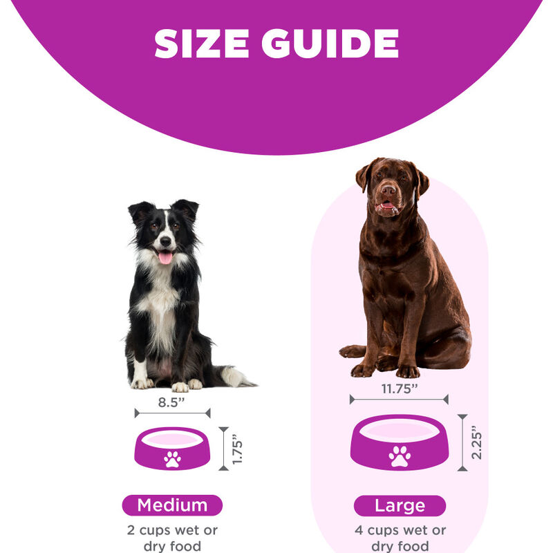 Outward Hound Fun Feeder Slo Bowl, Flower, Purple, Large image number null