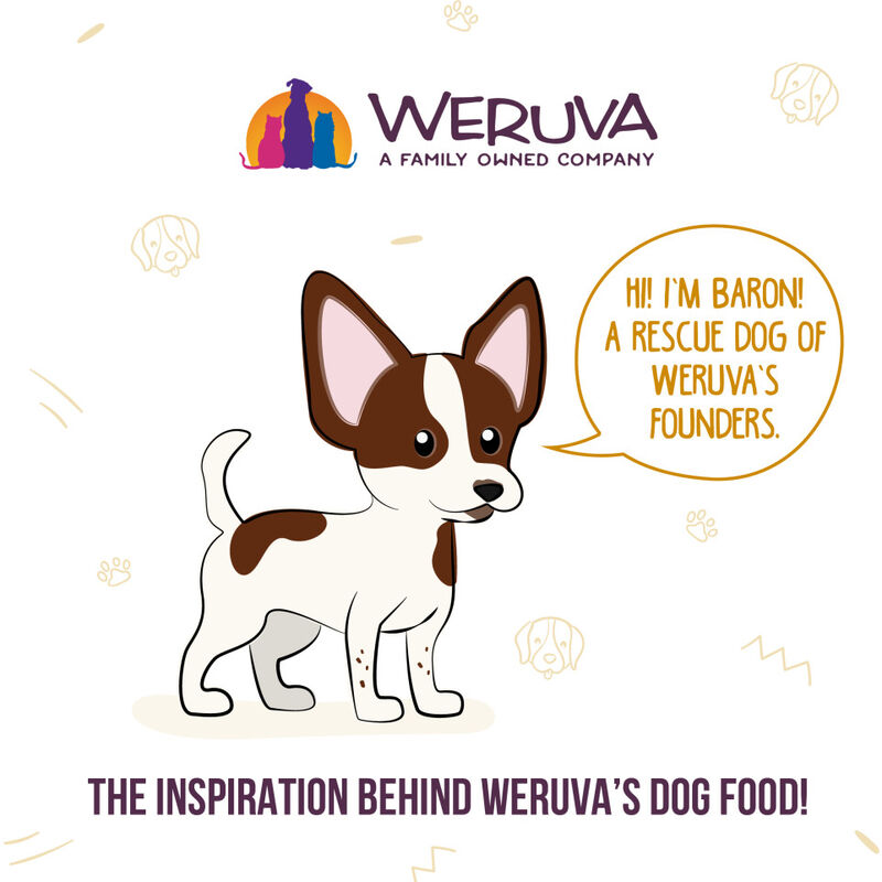 Weruva Classic Canned Dog Food, Funky Chunky, Chicken Soup & Pumpkin, 14-oz image number null
