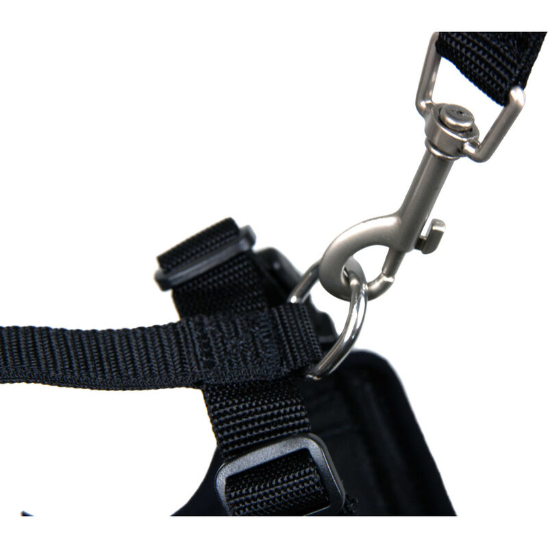 RC Pets Adventure Kitty Harness, Black image number null